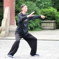 Red Lotus Tai Chi Qi Gong Guildford Tai Chi Yell