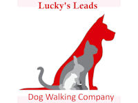 dog walking company