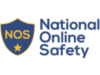 Image result for national online safety
