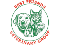 Best Friends Vet Group Dagenham, Dagenham | Vets - Yell