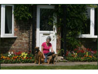 harlow carr kennels