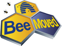 Image of Bee Moved Removals