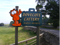 Image of Dovecote Cattery