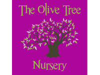 The Olive Tree Nursery Bridgwater Day Nurseries Yell Logo Of The Olive Tree Nursery