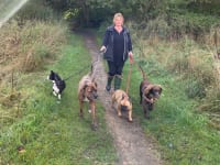 Image of Rosie's Ruffs