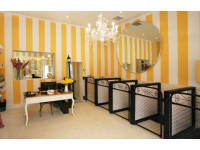 dog grooming boutique