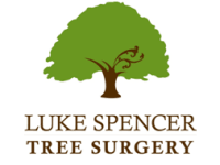 Luke Spencer Tree Surgery, Chard | Tree Surgeons - Yell