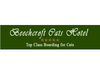 beechcroft cat hotel