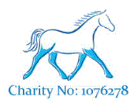 The Moorcroft Equine Rehabilitation Centre, Horsham | Animal Welfare ...