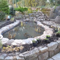 Image 7 of Aquavision Water Garden Services