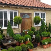 Bosworth's Garden Centre At Elton Walled Card, Peterborough | Garden ...