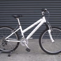 28+ Gloucester Bike Project Pictures