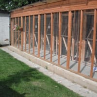 Ovens Green Kennels & Cattery, Sudbury | Boarding Kennels - Yell