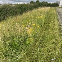 Image 12 of Tree Wise Men (NE) Ltd