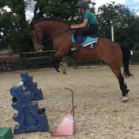 Fir Tree Farm Equestrian Centre, Doncaster | Riding Schools - Yell