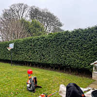 Image 33 of Tree Wise Men (NE) Ltd