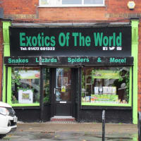 exotics ltd cleethorpes yell