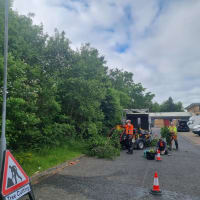 Image 43 of Tree Wise Men (NE) Ltd