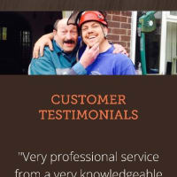 Woodpecker Tree Surgeons at UK Ltd, Shrewsbury | Tree Surgeons - Yell