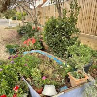 Image 30 of House & Home Sitters Ltd