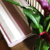 Image 41 of Julie Spendlove - Professional Curtain Maker