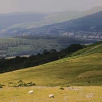 Gwrhyd Specialist Stone Quarry, Swansea | Quarries - Yell