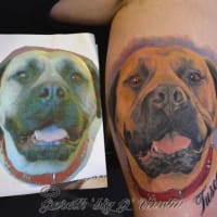 620+ Free Download Talisman Tattoo Art Studio York York HD Tattoo Images