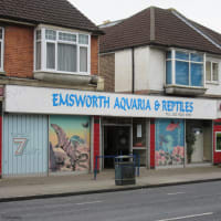 Drayton reptile outlet shop