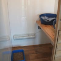 Image 2 of Furballs Cattery