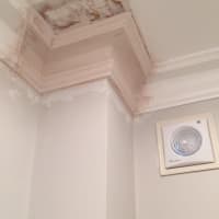 The London Cornice Company London Ceiling Contractors Yell