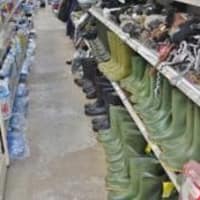 Image 26 of Brook's Basics