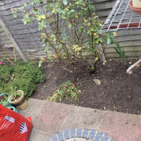 Image 20 of SJE Window Cleaning & Maintenance