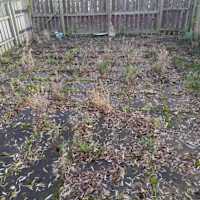 Image 14 of KMC Property Maintenance