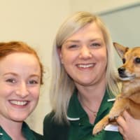 Southcrest Veterinary Centre, Redditch | Vets - Yell