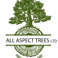 All Aspect Trees Ltd | Tree Surgeons - Yell