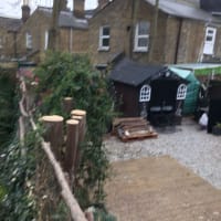 Image 33 of Special Branch Tree & Stump Removal