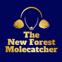 The New Forest Mole Catcher, Lymington | Pest & Vermin Control Services ...