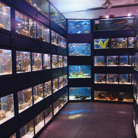 Wharf Aquatics, Nottingham | Reptile Shops - Yell