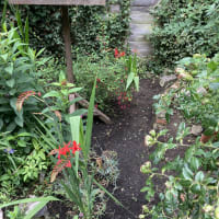 Image 17 of SJE Window Cleaning & Maintenance