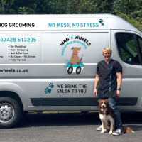 Wag 'N' Wheels Mobile Dog Grooming, Sheffield | Dog & Cat Grooming - Yell