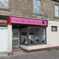 Posh Pups Bellshill Pet Shops Yell