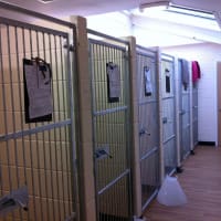 Kirks Vets, Sleaford | Vets - Yell