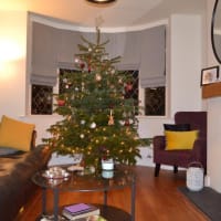 Image 80 of Julie Spendlove - Professional Curtain Maker