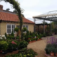 Bosworth's Garden Centre At Elton Walled Card, Peterborough | Garden ...