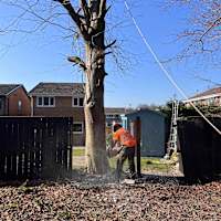 Image 24 of Tree Wise Men (NE) Ltd