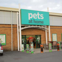 Pets At Home Yeovil Yeovil Pet Shops Yell