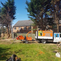 Woodpecker Tree Surgeons at UK Ltd, Shrewsbury | Tree Surgeons - Yell