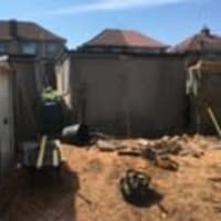 Image 4 of Special Branch Tree & Stump Removal