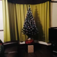 Image 96 of Julie Spendlove - Professional Curtain Maker