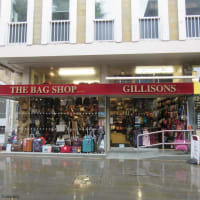Gillisons- The Bag Shop